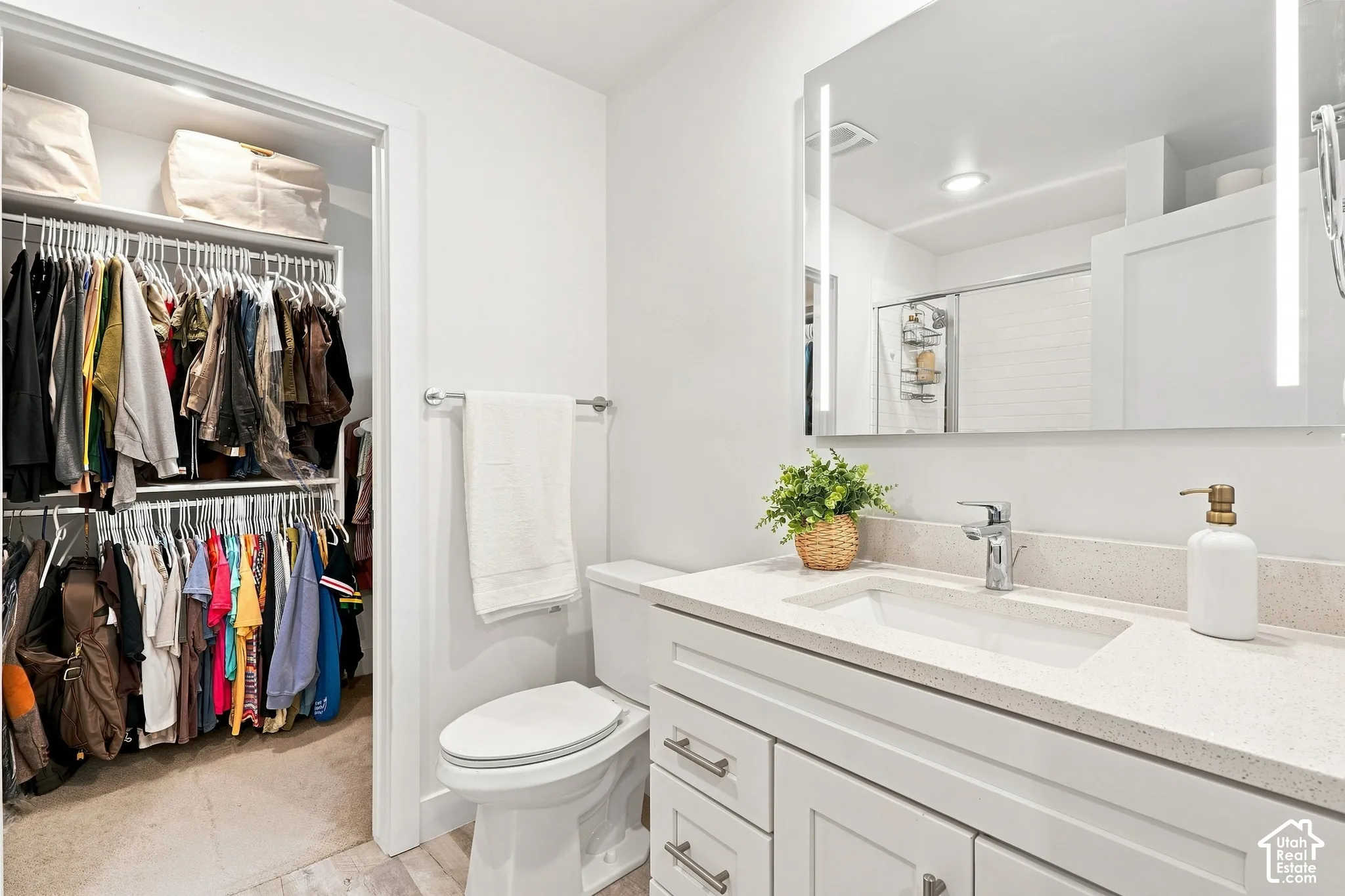 Primary Bathroom and Walk-in Closet