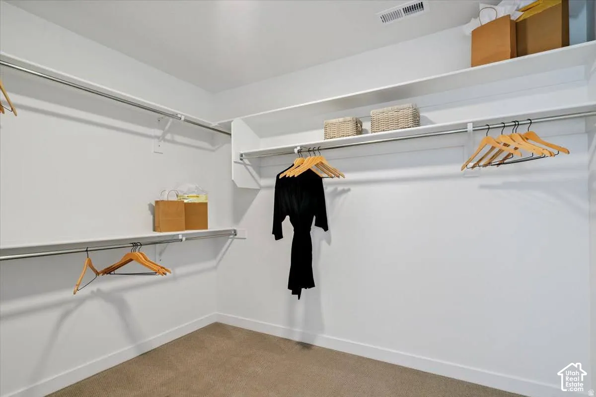 Walk-in closet featuring white built-in shelving, chrome hanging rods, and carpet flooring
