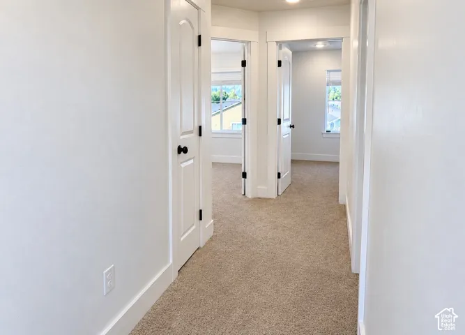 Hallway featuring neutral carpet flooring, solid-core interior doors with matte black hardware, and crisp white millwork throughout
