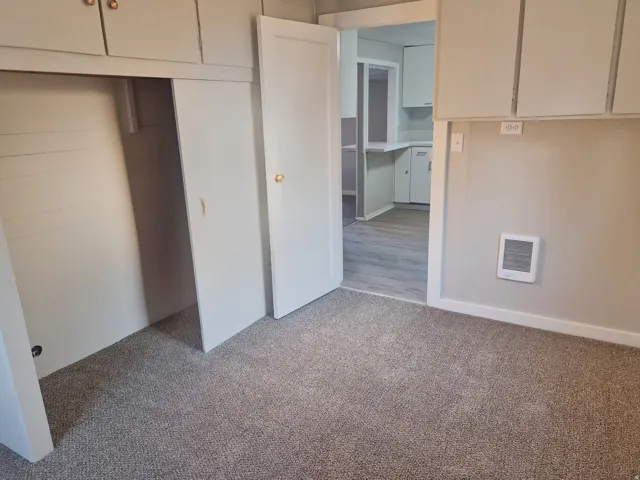 Plush carpet flooring, built-in storage cabinetry, white interior doors, and a wall-mounted heating unit