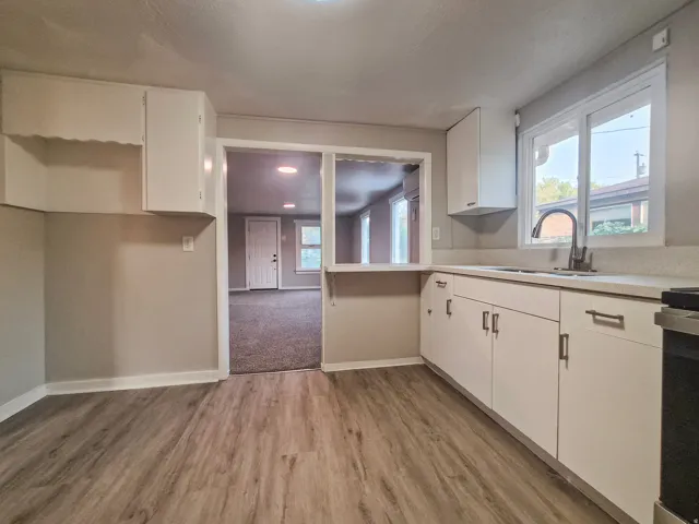 Kitchen featuring wood-finish flooring, white cabinetry, a double-basin sink, and a pass-through window