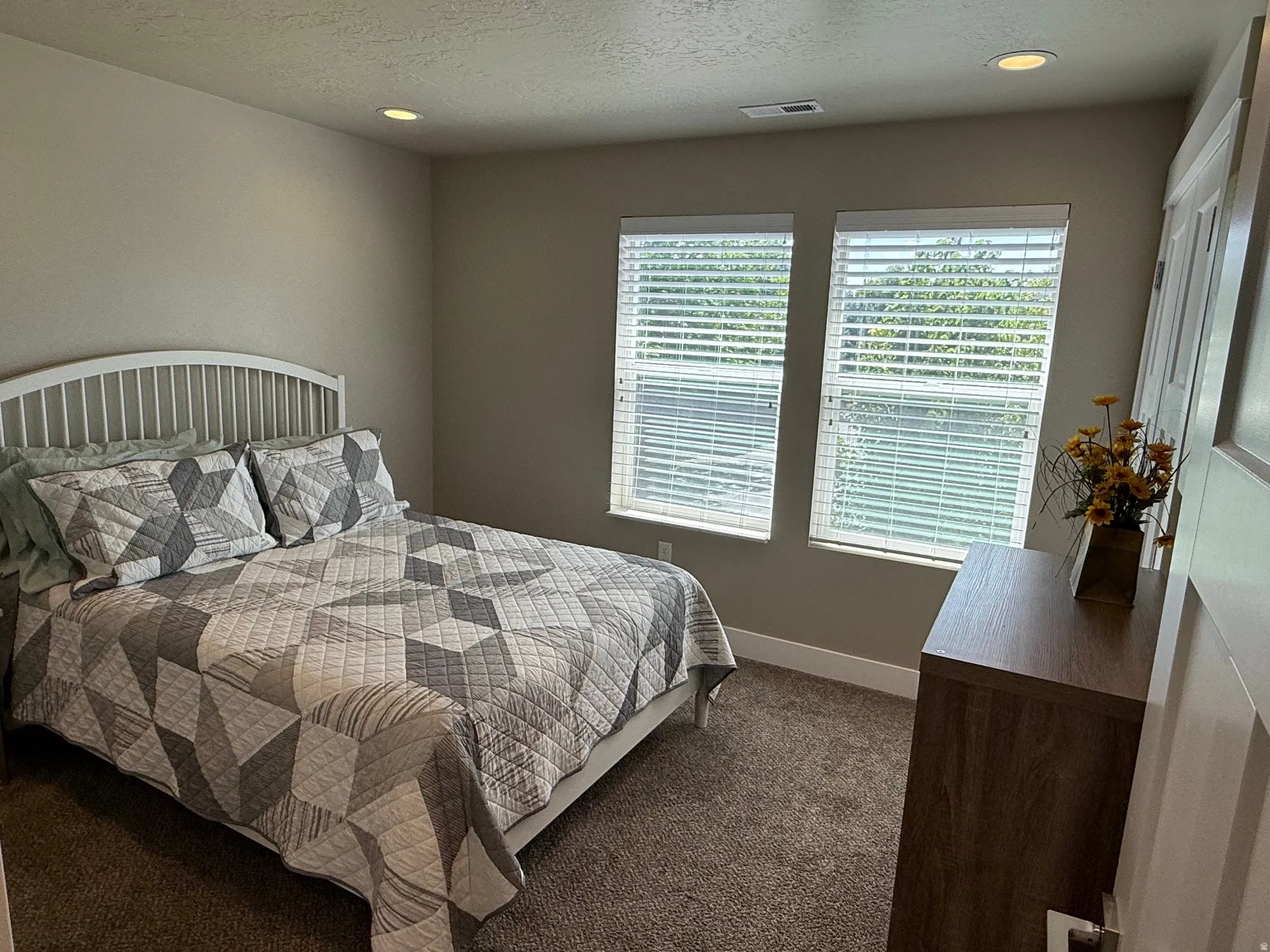 Recessed ceiling lighting, two windows with blinds, wall-to-wall carpeting, and a paneled door
