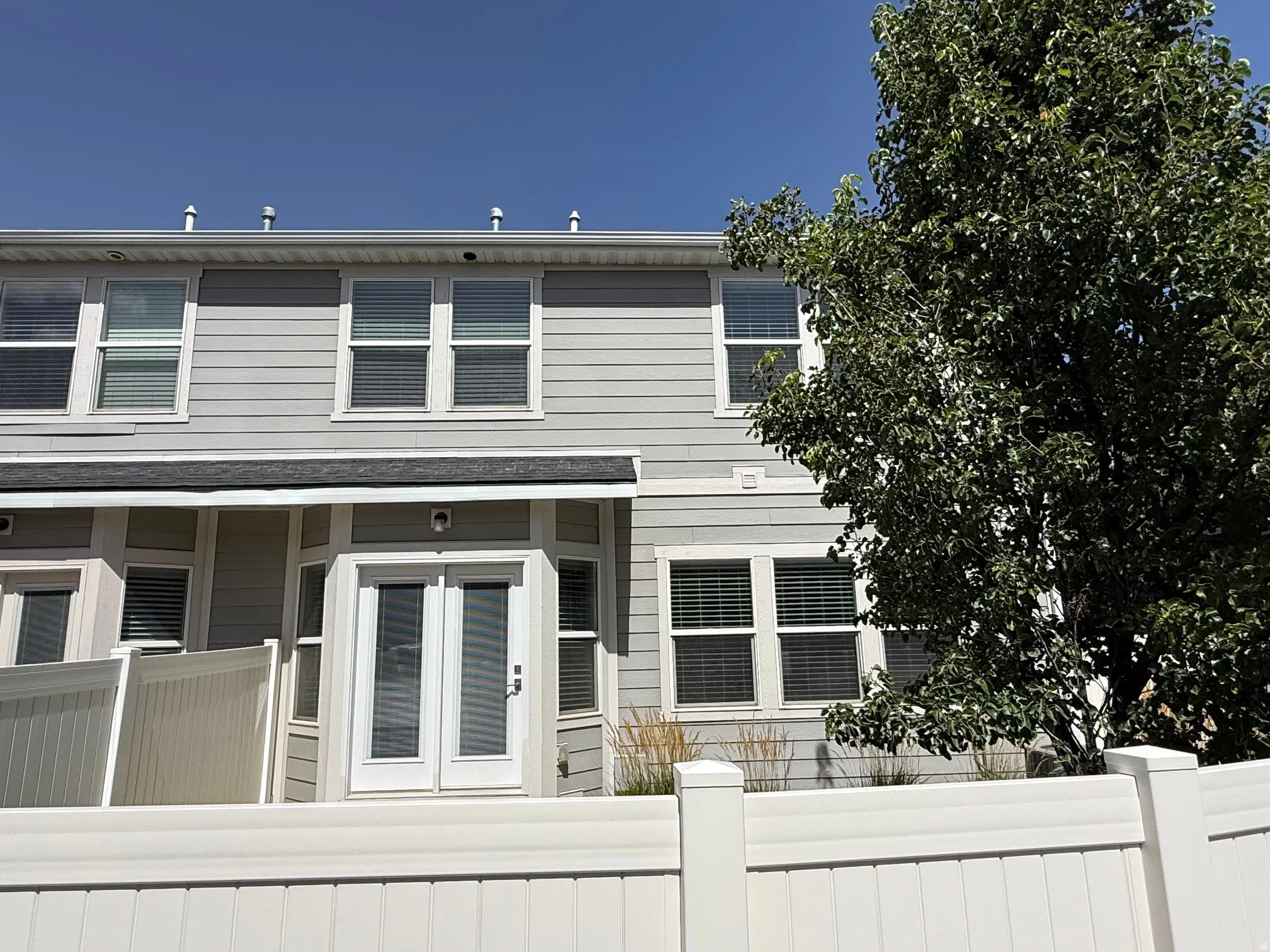 Rear exterior with light gray horizontal siding, multiple windows, a white privacy fence, and a mature tree