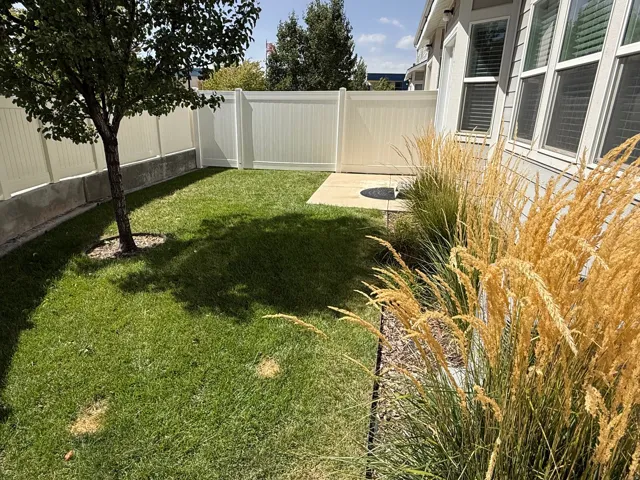 Private, fully fenced yard with a concrete patio, mature tree, and planted ornamental grasses