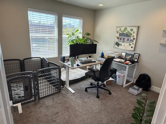 Recessed lighting, two large windows with blinds, and neutral wall tones