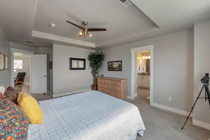 Tray ceiling with a ceiling fan, light gray walls, and carpet flooring