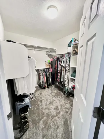Walk-in closet featuring carpet flooring, built-in shelving, and hanging rods