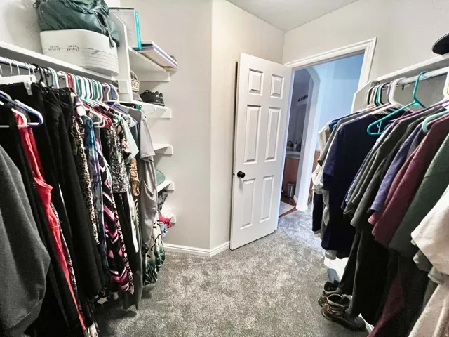 Walk-in closet with ample hanging space, built-in shelving, plush grey carpeting, and a panel door
