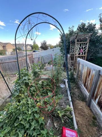Garden area featuring an ornate metal archway, raised garden beds, and wood fencing