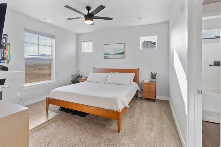 Carpeted bedroom with a ceiling fan, multiple windows, and light gray walls