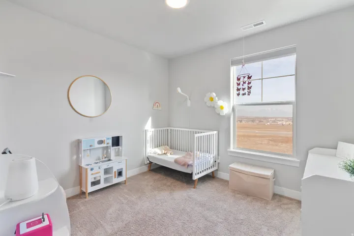 Neutral wall paint, plush carpet, recessed ceiling light, and a large window with a distant landscape
