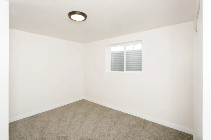 Neutral wall paint, carpeted flooring, and a single window with blinds