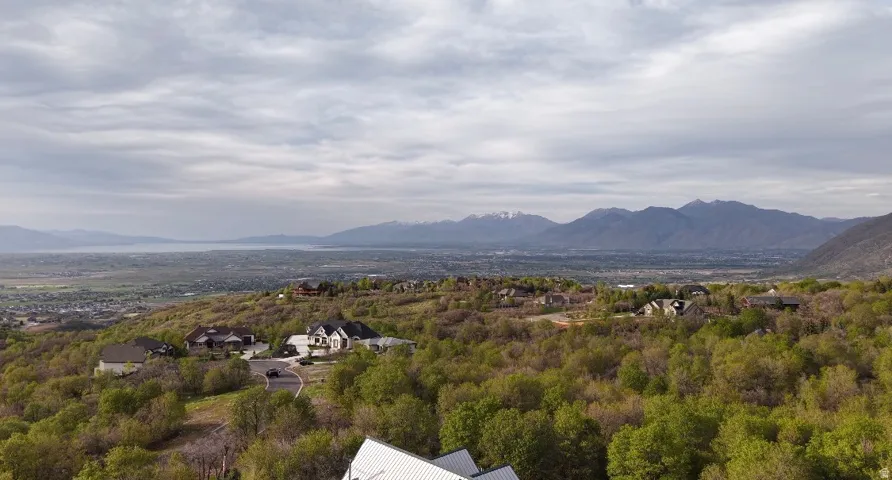 Mountainous backdrop with a distant body of water, surrounded by lush, verdant trees