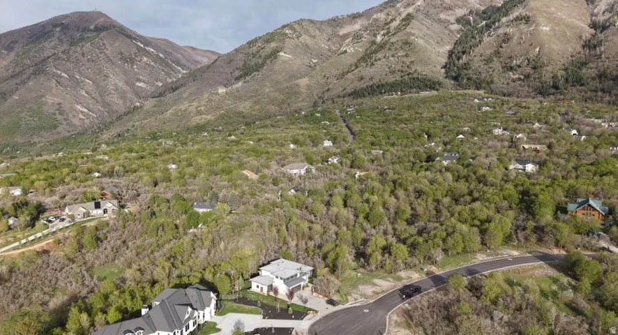 Mountainous backdrop with a residential community nestled among dense tree coverage