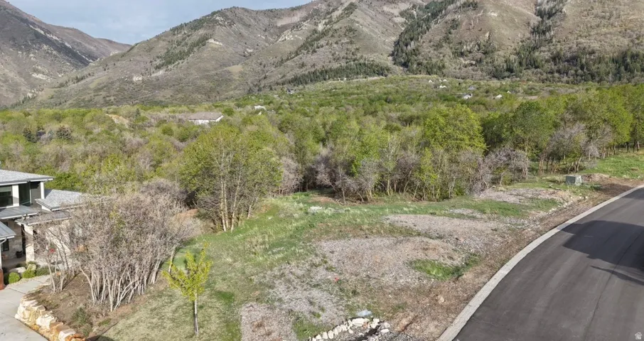 Gently sloping terrain with mature trees and paved road frontage