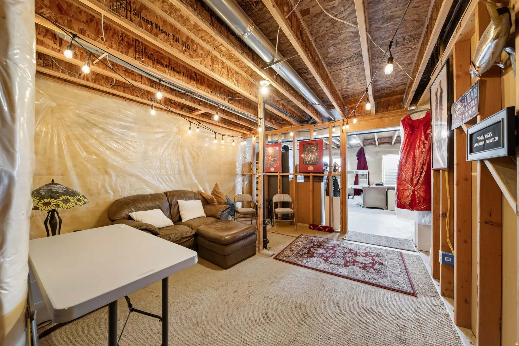 Exposed ceiling joists with integrated track lighting, wood framing, and partial insulation