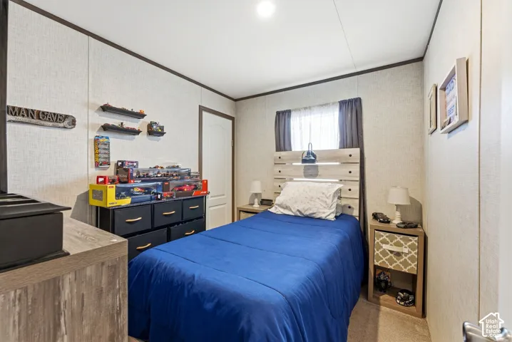 Textured wall panels with dark trim, neutral carpeting, and a built-in light fixture