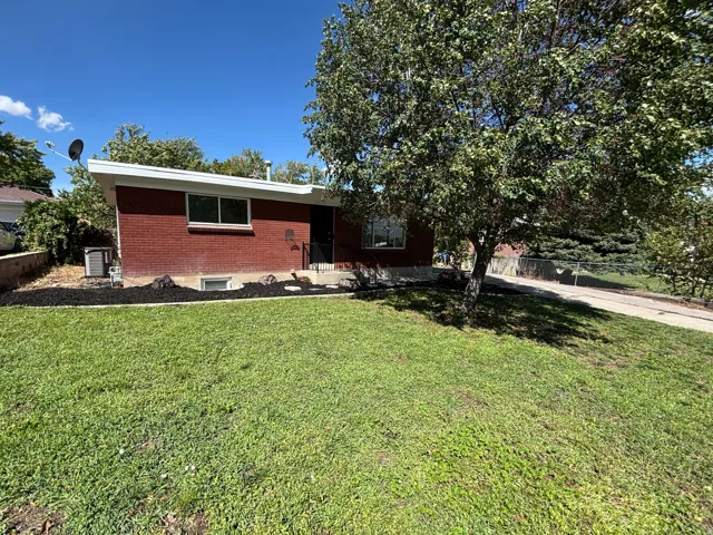Brick exterior with white trim, mature front yard tree, and a concrete driveway