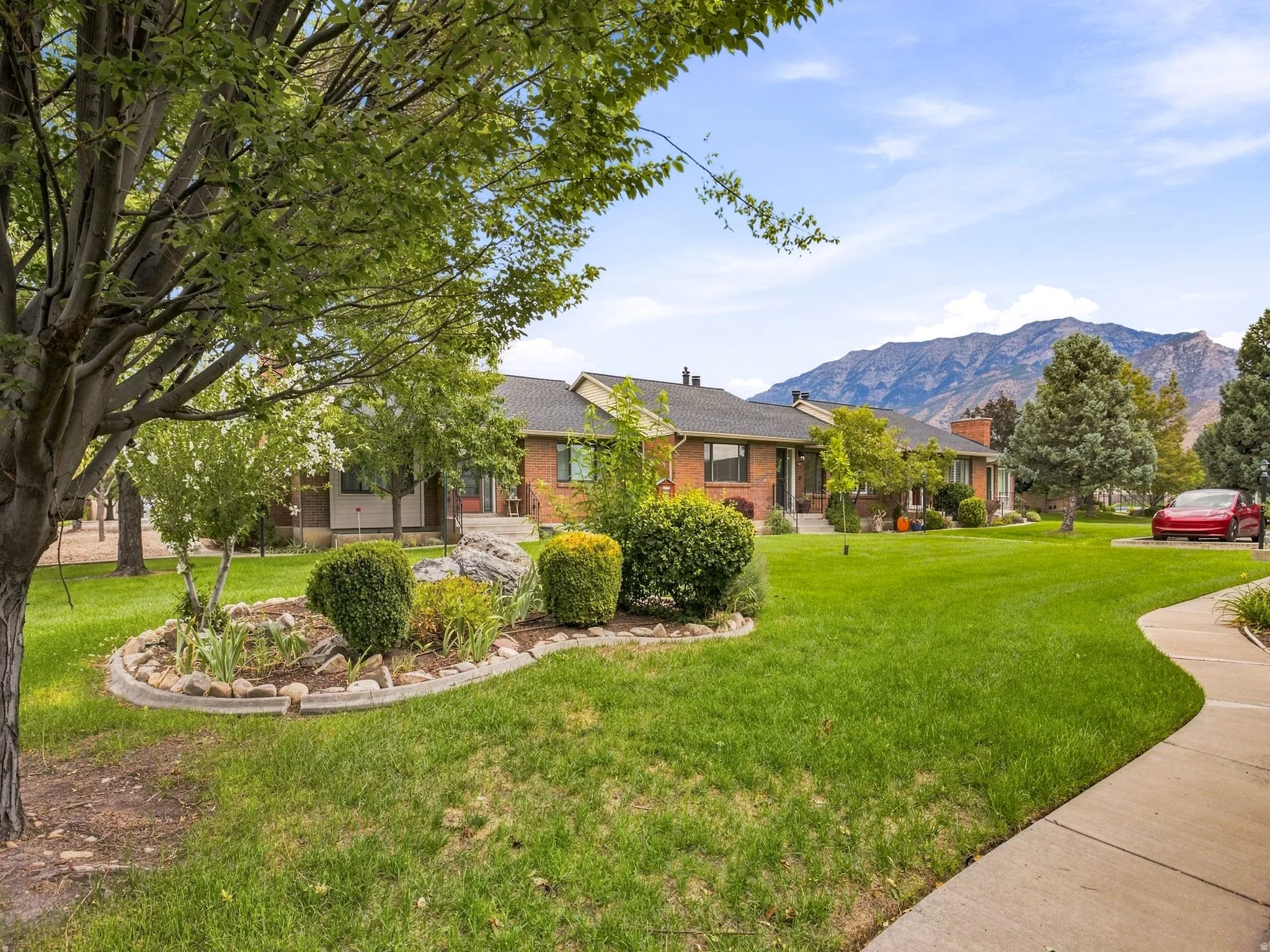 Expansive lawn with mature trees, established landscaping, and a concrete pathway