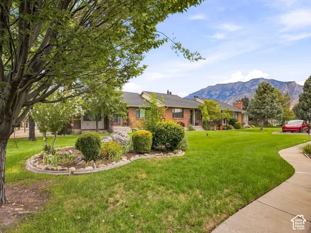 Expansive lawn with mature trees, established landscaping, and a concrete pathway