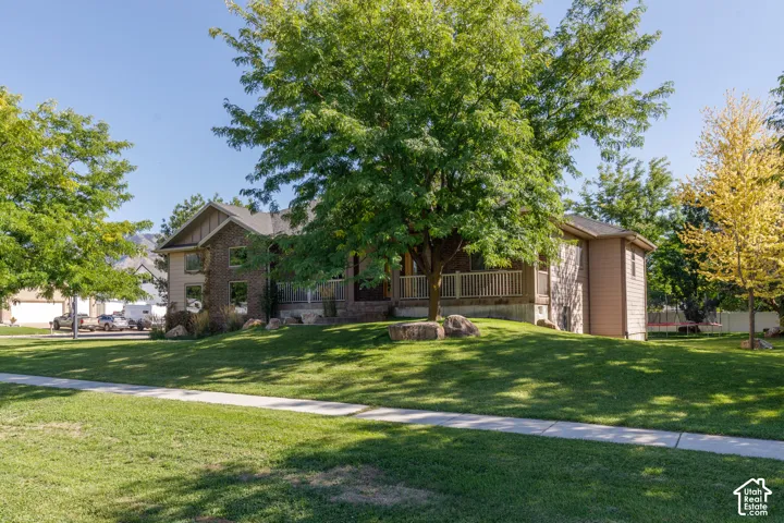 Spacious lawn with mature trees and a sidewalk