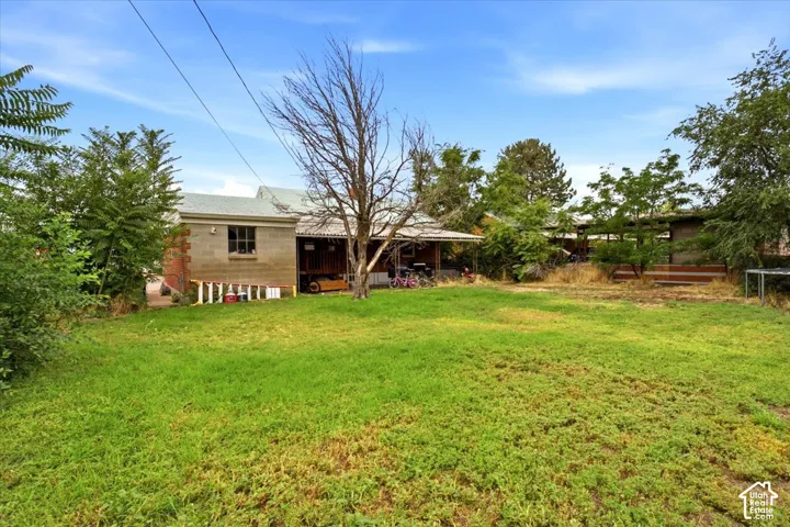 Expansive grassy yard with mature trees and a detached structure featuring a window and brick detailing