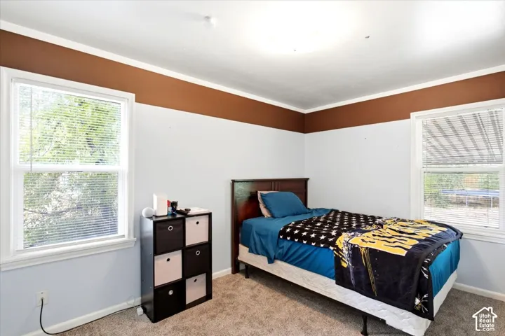 Carpeted flooring, two windows, and a ceiling-mounted light fixture
