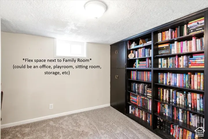 Built-in shelving with integrated cabinetry, recessed window, and light-toned carpeting
