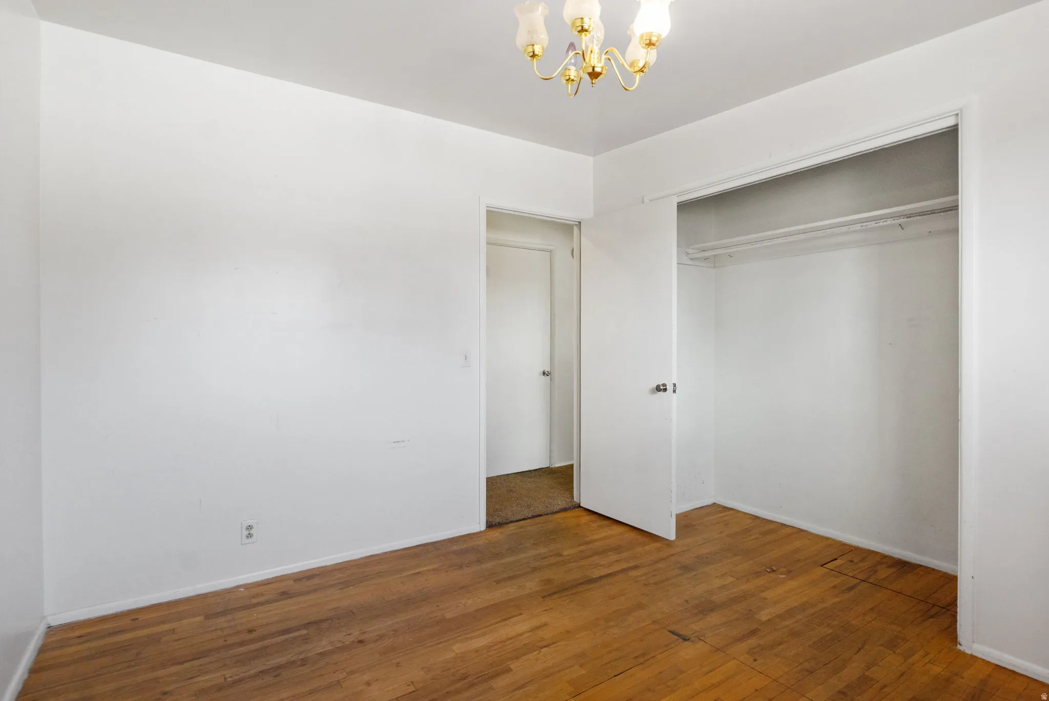 Hardwood flooring, white walls, flush-mounted light fixture, and an open closet with a hanging rod
