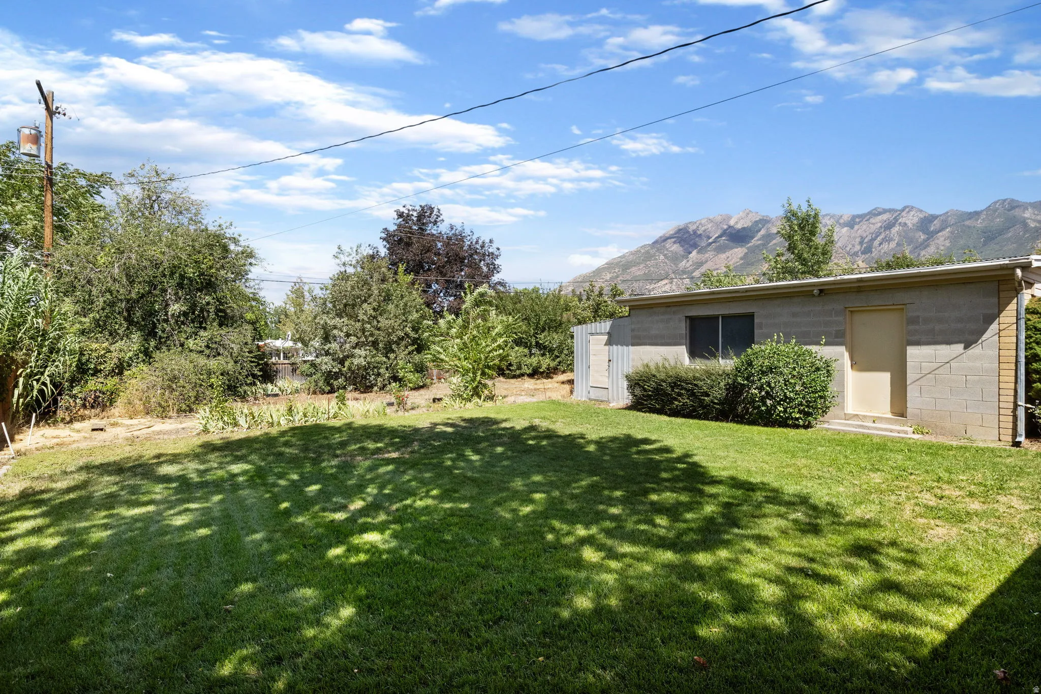 Expansive lawn with mature landscaping and a cinder block auxiliary building