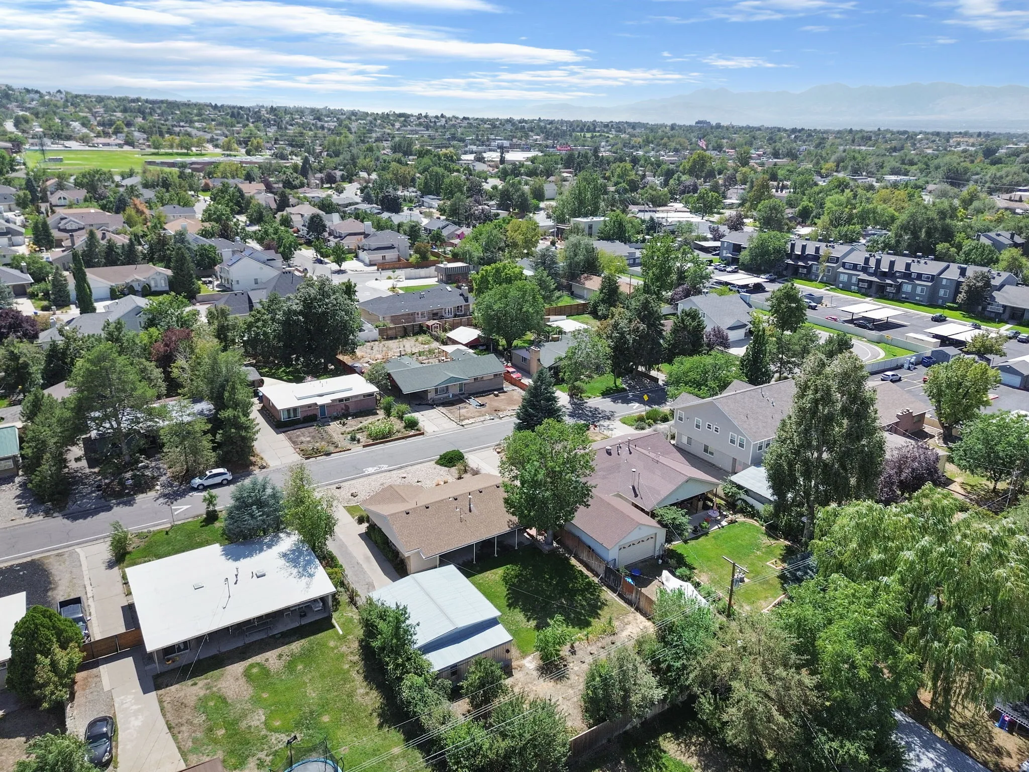 Residential neighborhood setting with mature tree canopies and distant mountain scenery
