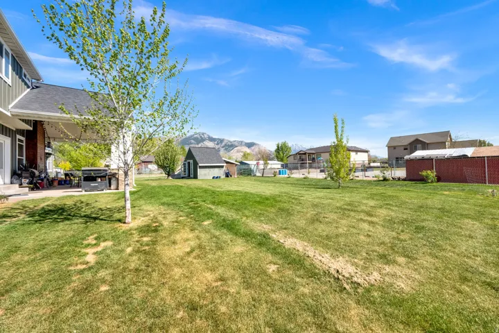 Expansive grassy backyard featuring a covered patio, mature trees, and a detached storage shed