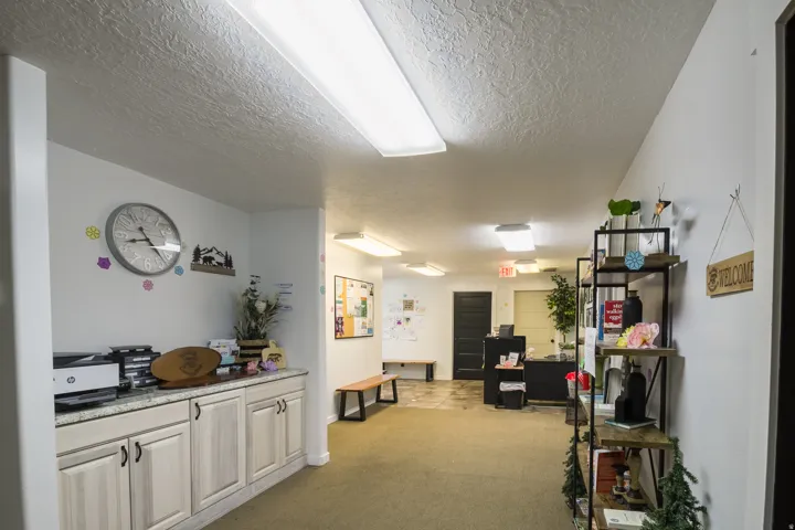 Recessed lighting, wood-finish shelving unit, light-toned carpeting, light-toned built-in cabinetry, and white countertops