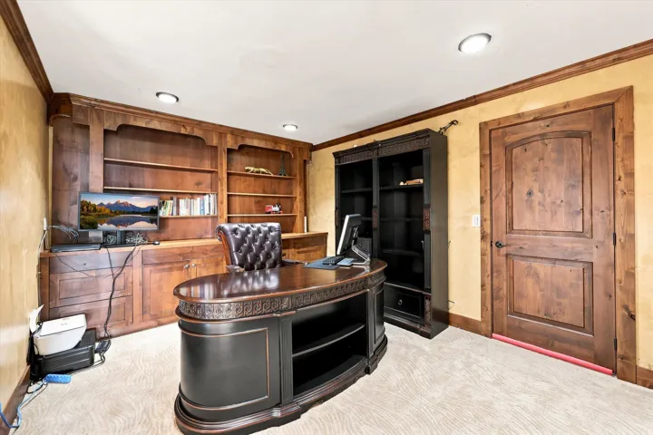 Built-in wood cabinetry with shelving, recessed ceiling lighting, and a wood-paneled door with dark hardware