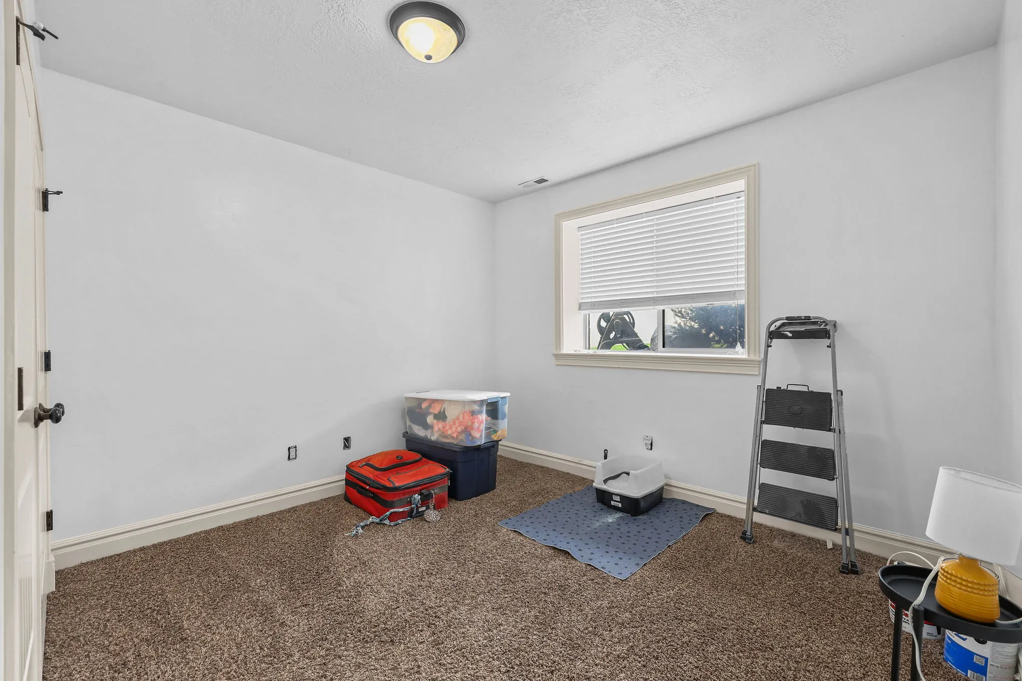 Neutral wall paint, window with blinds, carpet flooring, ceiling-mounted light fixture, and a paneled door with dark hardware