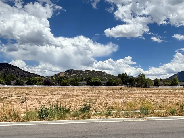 Expansive undeveloped land featuring a clear horizon and distant mountain scenery