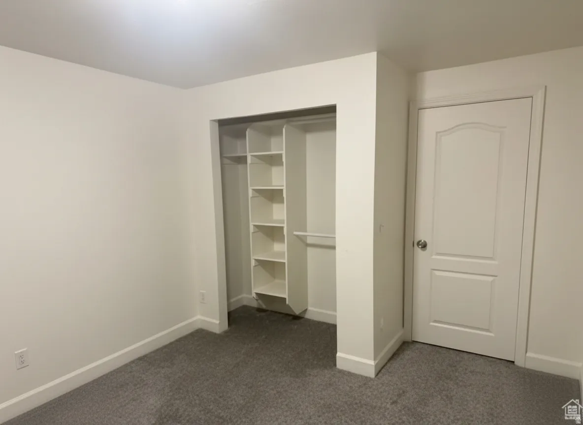 Recessed closet with built-in shelving, hanging rod, and gray carpet