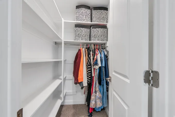 Built-in closet shelving, hanging rod, and carpet flooring