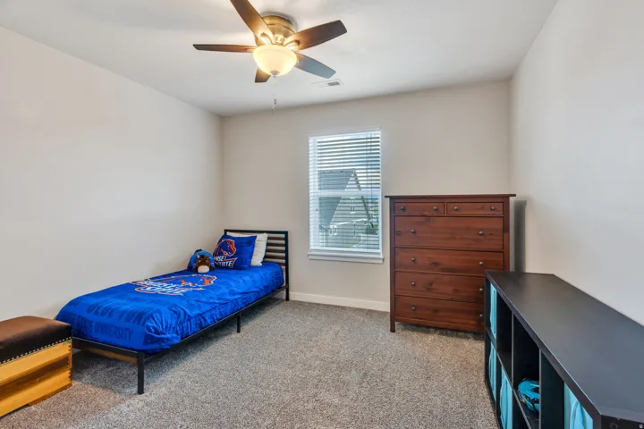 Neutral wall tones, plush gray carpeting, ceiling fan with integrated lighting, and a single window with blinds