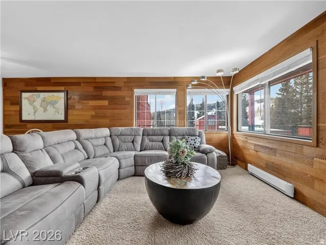 Wood-paneled accent walls, multiple windows providing natural light, and plush carpeting