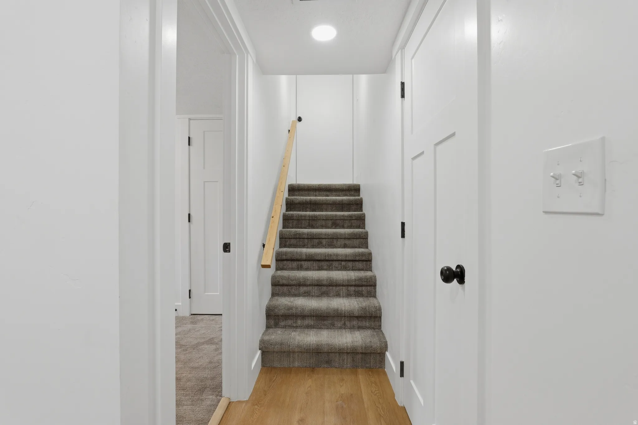 Carpeted staircase with a wood-finish handrail, wood-finish flooring, and white paneled doors with black hardware