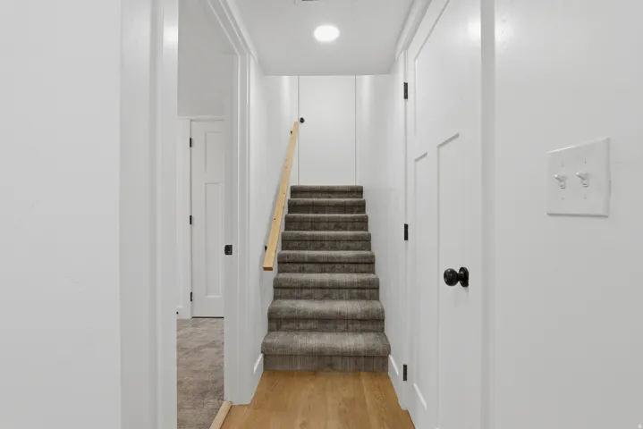 Carpeted staircase with a wood-finish handrail, wood-finish flooring, and white paneled doors with black hardware
