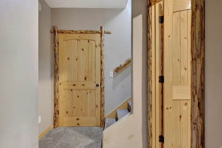 Arched wooden panel door with natural wood-bark trim, matte black hardware, and carpet flooring