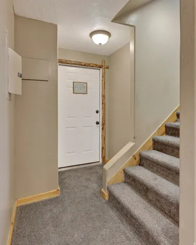 Entryway with carpet flooring, white door, rustic wood door frame, and a flush mount ceiling light