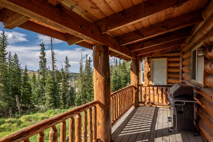 Wood-finish porch with a log railing, exposed wood ceiling beams, and a natural log exterior