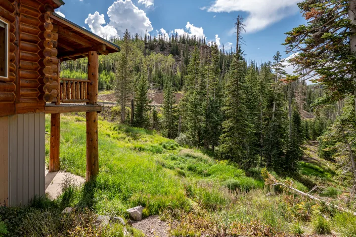 Log cabin exterior with an elevated wooden porch and railing, set against a backdrop of mature evergreen trees and a natural, verdant landscape