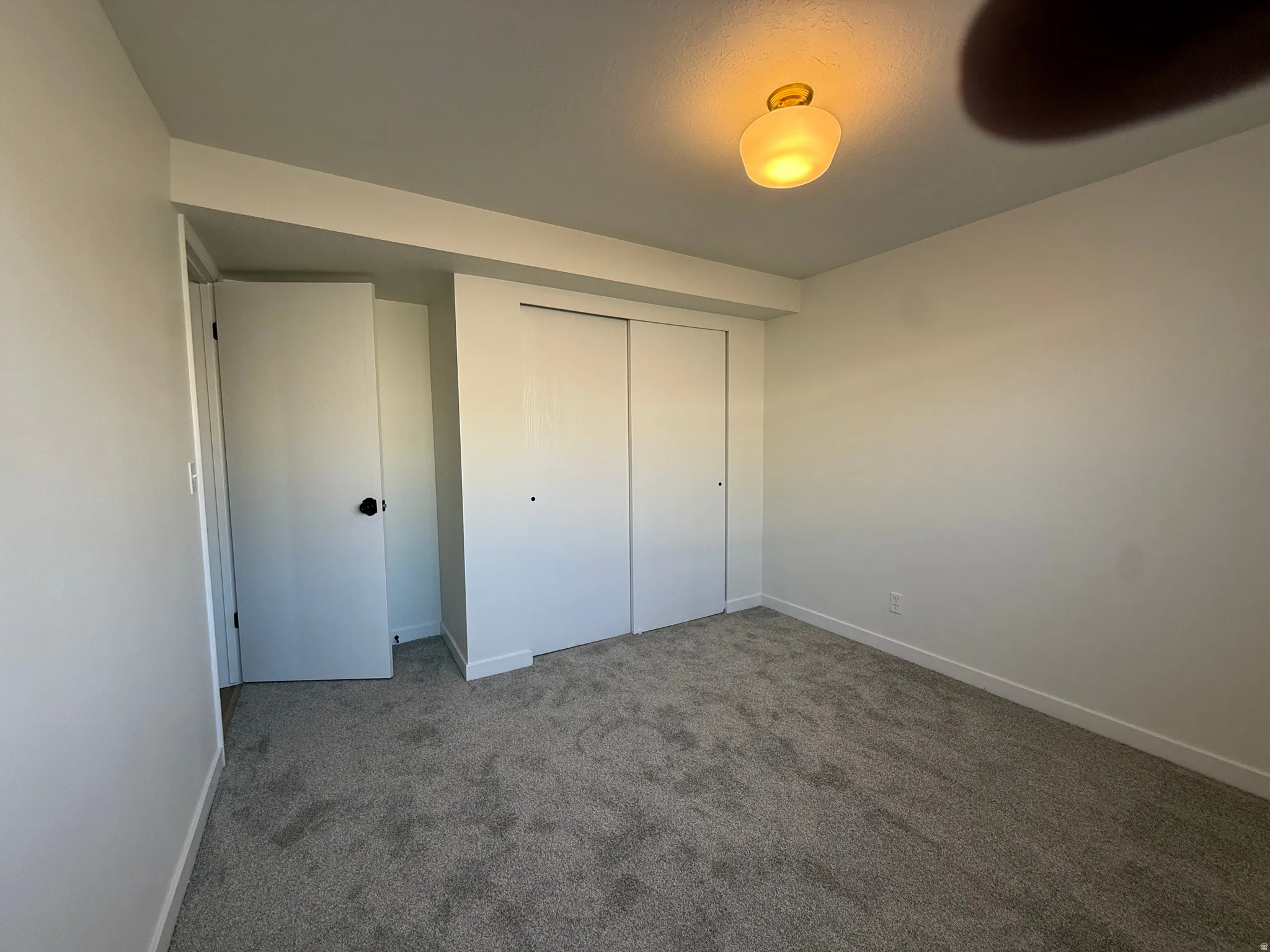 Plush gray carpeting throughout, featuring white walls and trim