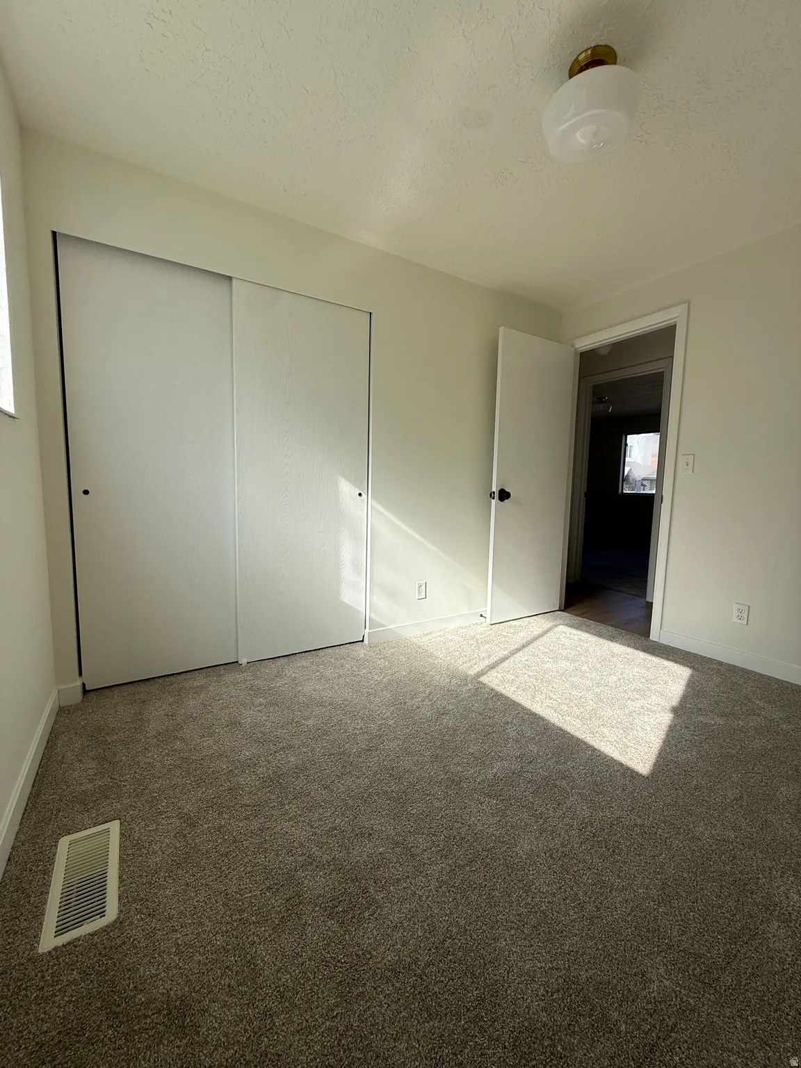 Carpeted flooring, white sliding closet doors, white interior walls, and a ceiling-mounted light fixture