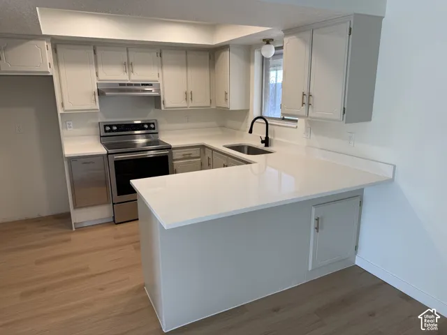 Kitchen featuring light cabinetry, solid surface countertops, stainless steel appliances, a stainless steel sink, and wood-finish flooring