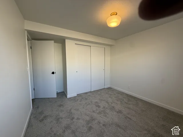 Plush gray carpeting throughout, featuring white walls and trim